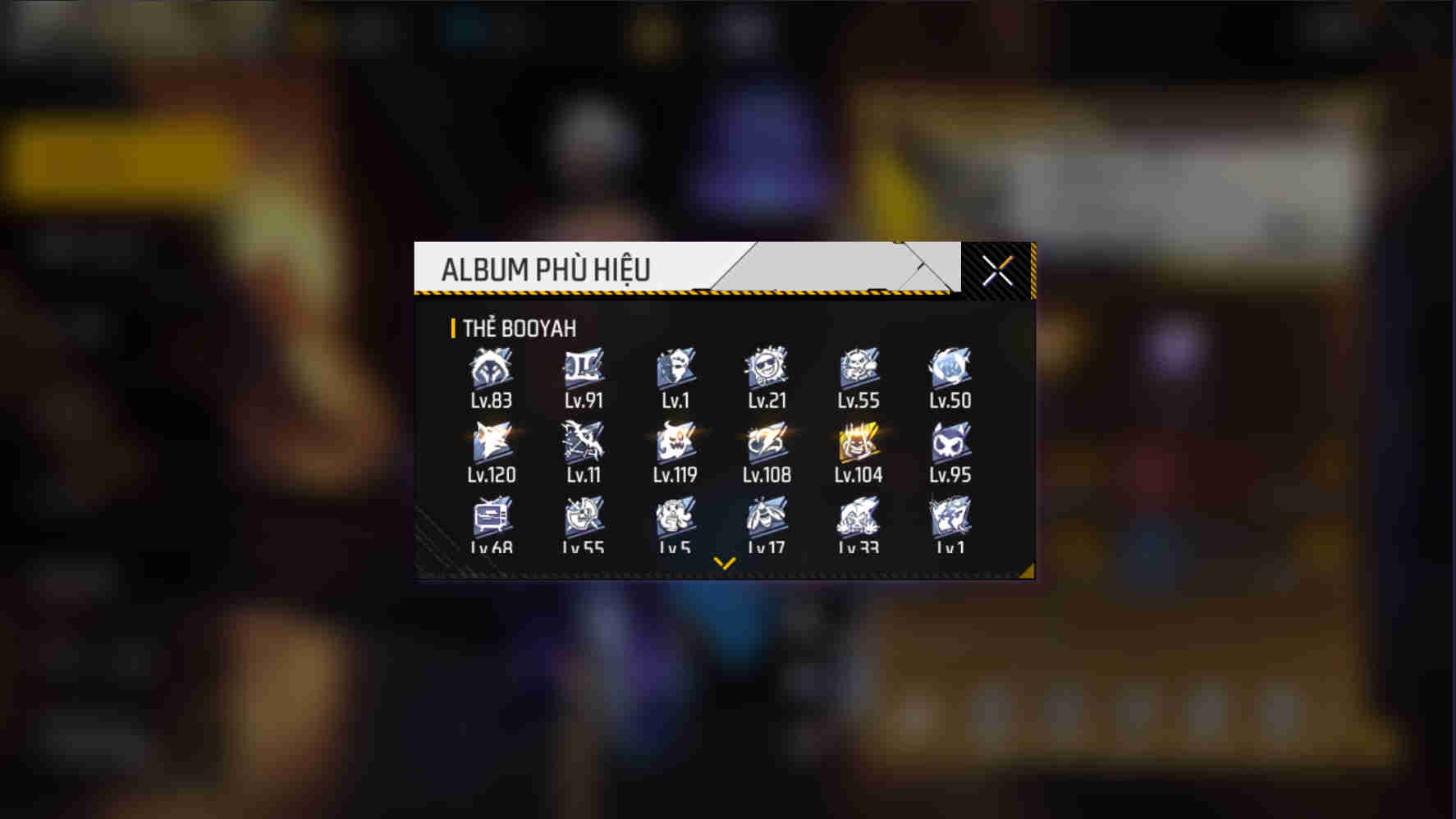 Ảnh 2