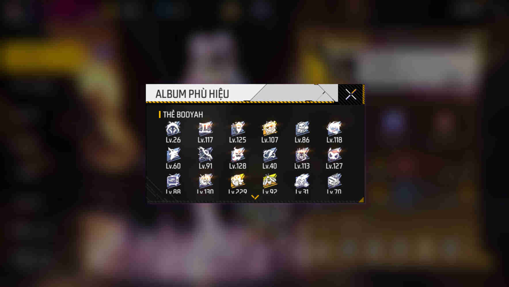 Ảnh 2