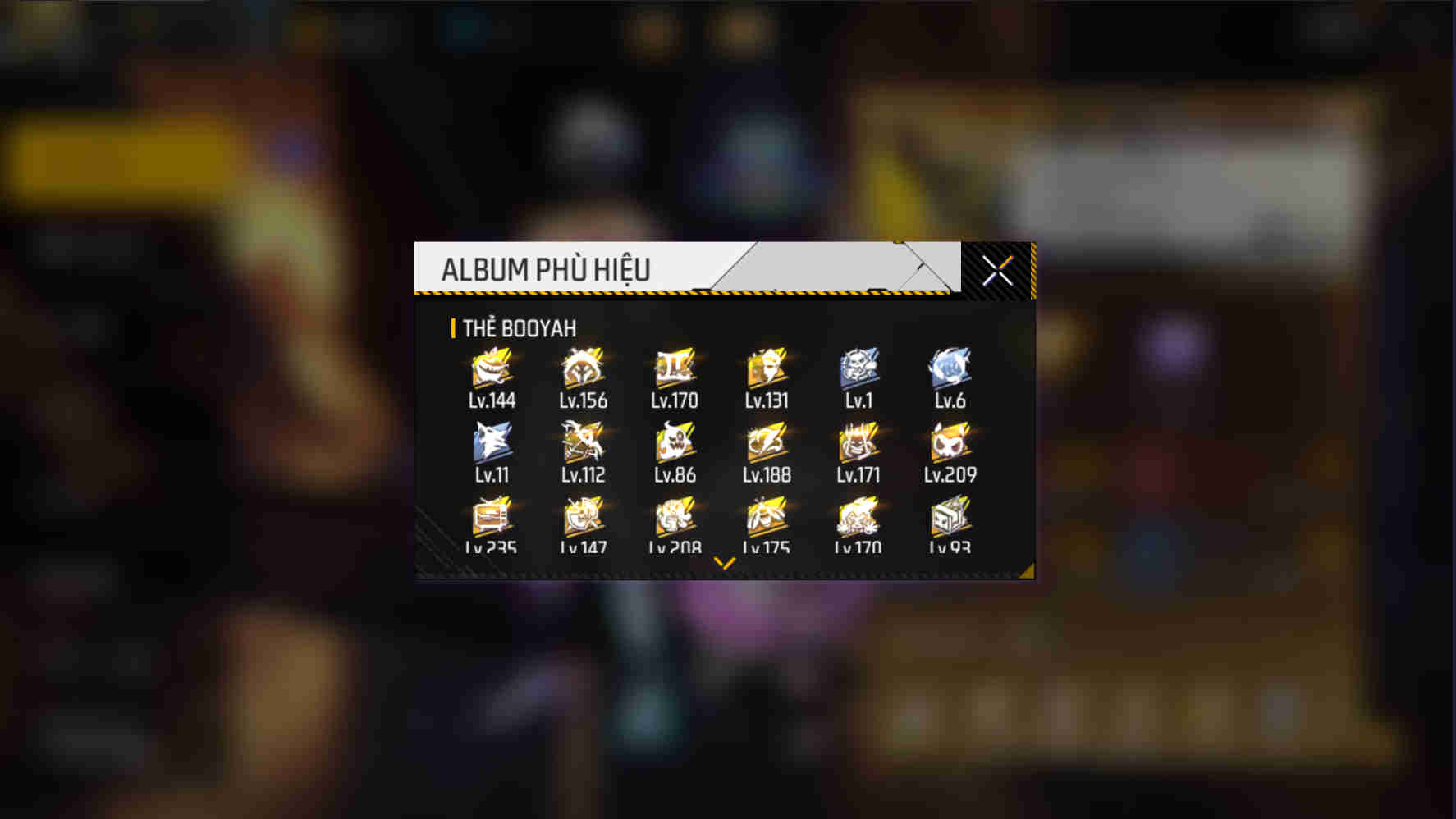 Ảnh 2
